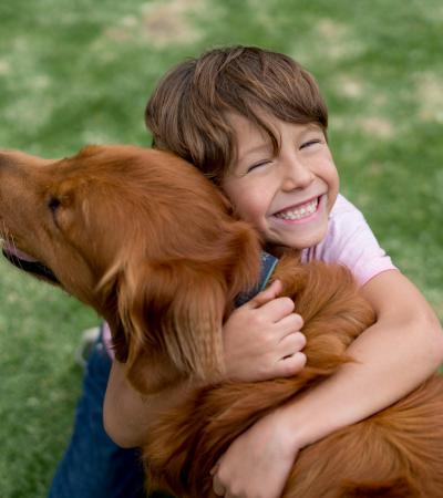 Joyful boy hugging happy golden retriever on grassy lawn