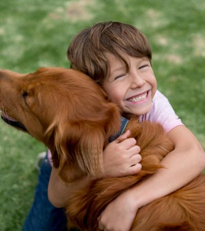 boy hugging dog Joyful boy hugging happy golden retriever on grassy lawn
