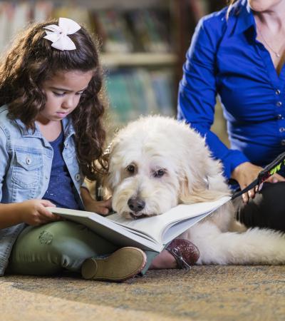 young girl sits on floor reading in library with a reading dog and its trainer