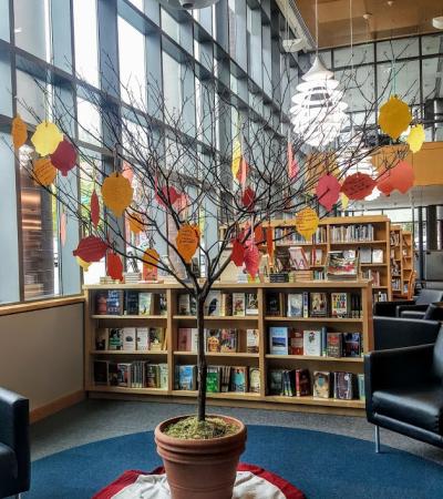 Picture of tree in library with paper leaves hanging Picture of tree in library with paper leaves hanging