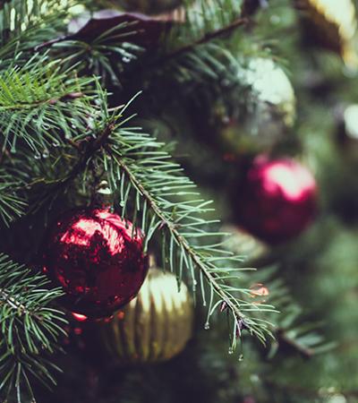 tree with holiday decorations tree with holiday decorations