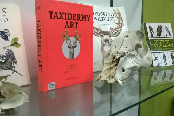 Photograph of library display. Book title reads: Taxidermy art. There is an animal skull on display next to the book.