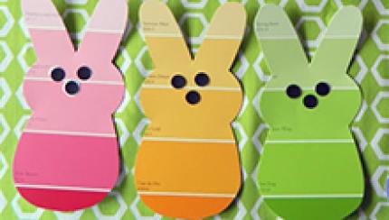 Bunny paint chips Bunny paint chips