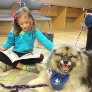 Young girl reading to fluffy dog Young girl reading to fluffy dog