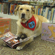Therapy dog with children's books