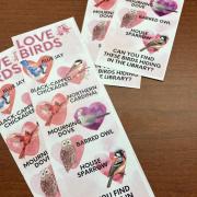 Photograph of the Love Birds bookmarks. Bookmarks have photos of the birds within valentines hearts. Text reads: Love Birds Can you find these birds hiding in the library?