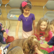 Nigel the spaniel with group of children Nigel the spaniel with group of children