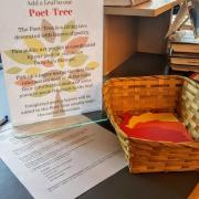 A basket of paper leaves with a sign that reads "add to our Poet-Tree" with instructions on how to add a poem. A basket of paper leaves with a sign that reads "add to our Poet-Tree" with instructions on how to add a poem.