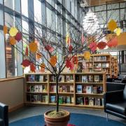 Picture of tree in library with paper leaves hanging Picture of tree in library with paper leaves hanging