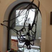 Photograph of fake Halloween cobwebs and spiders inside of the library windows.